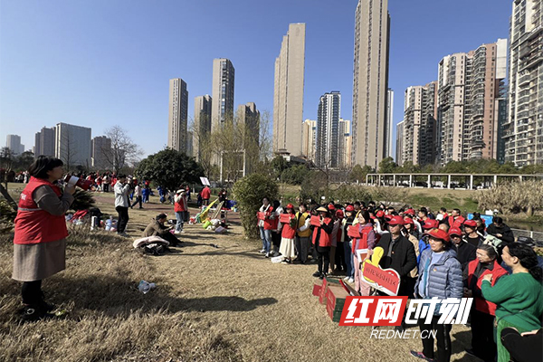 雨花家园社区：党建引领聚合力，携手植树添新绿